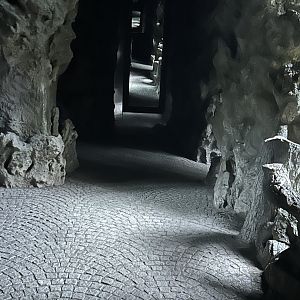 ‘Cave entrance’ inside the Butterfly Garden