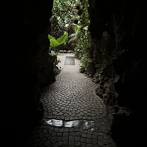 ‘Cave exit’ inside the Butterfly Garden