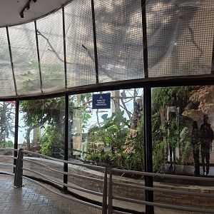 Cock-of-the-Rock House