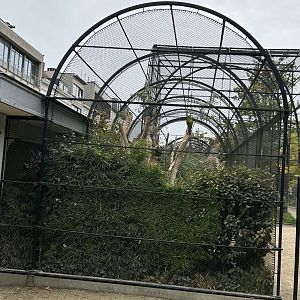 Military macaw aviary