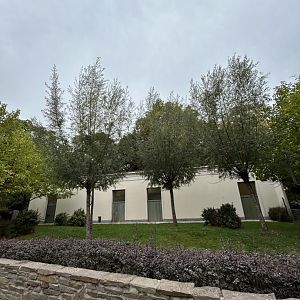 Okapi enclosure at the side of the parrot aviaries