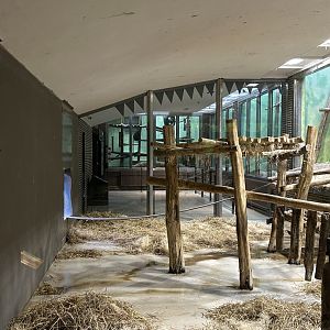 Chimp indoor exhibit