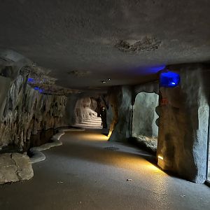 Gorilla cave tunnels