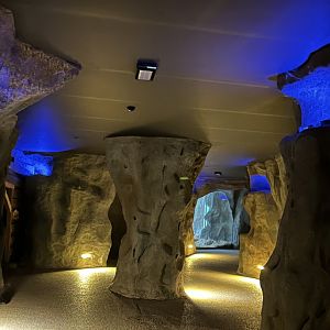 Gorilla cave tunnels