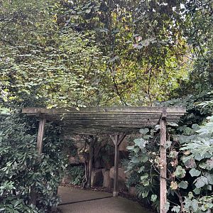 Bird landing spot at the Savannah Aviary
