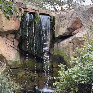 Waterfall inside the Savannah Aviary