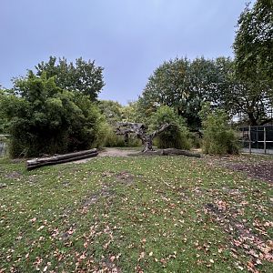 Mountain bongo enclosure