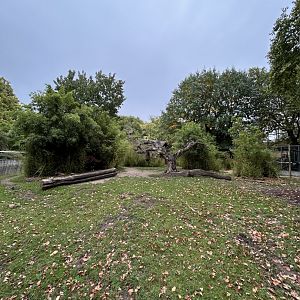 Mountain bongo enclosure