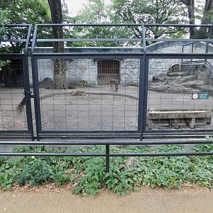 Yakushima Sika Deer Enclosure October 4, 2025