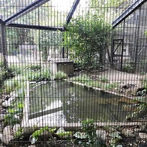 Eurasian Otter Enclosure October 4, 2025