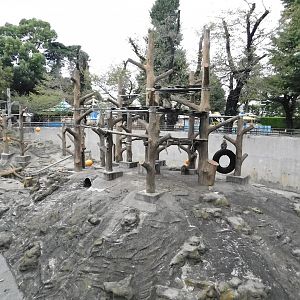 Rhesus Macaque Enclosure October 4, 2025