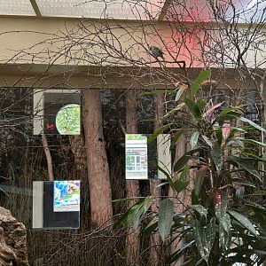 Fire-fronted serin aviary in the Bird House