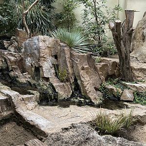 African aviary in the Bird House