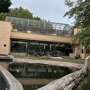 Pygmy hippo exhibit