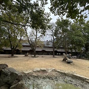 Southern white rhino and plains zebra savannah