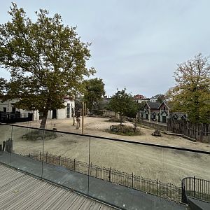 Giraffe and warthog view from skywalk