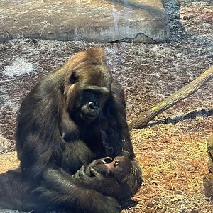 Gladys and Her Newborn Baby