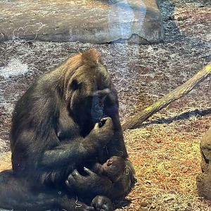 Gladys and Her Newborn Baby