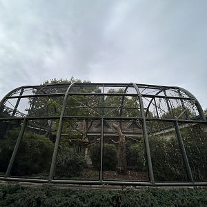 Hyacinth macaw aviary