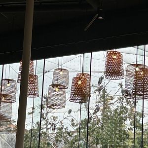 Savannah Aviary seen from the Savannah Restaurant