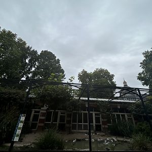 European wader aviary