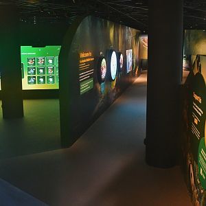 Mandai Gallery (opening soon)