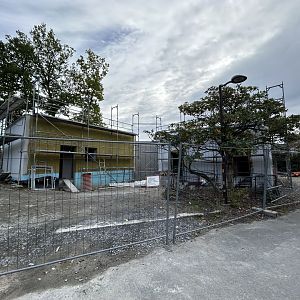 Amphibian House Construction