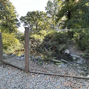 Asian Waterfowl Exhibit