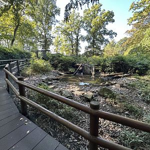 Asian Waterfowl Exhibit