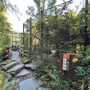 Chinese/Tibetan Bird Aviaries