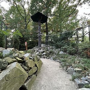 Chinese/Tibetan Walkthrough Aviary #1