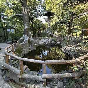 Chinese/Tibetan Walkthrough Aviary #2