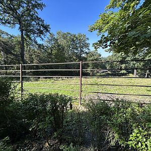 Père David's Deer Exhibit
