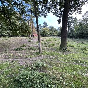 Père David's Deer Exhibit