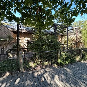 Sri Lankan Leopard Exhibit #2 - Indian Carnivores House