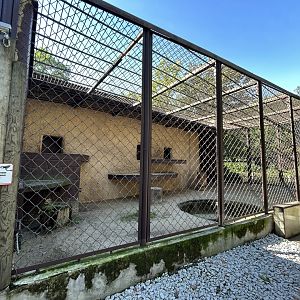 Lion Exhibit #2 - Indian Carnivores House