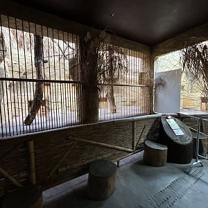 Indoor Lion Exhibits - Indian Carnivores House