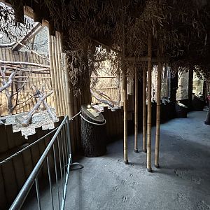 Indian Carnivores House