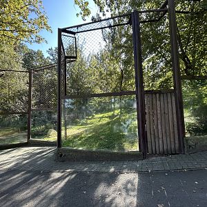 Lion Exhibit #3 - Indian Carnivores House