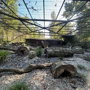 Pallas’ Cat Exhibit