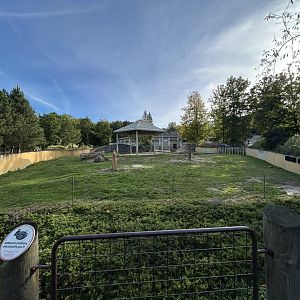 Asian Elephant Exhibit #1
