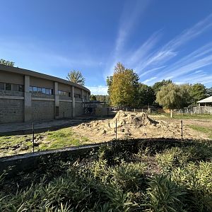 Asian Elephant Exhibit #2