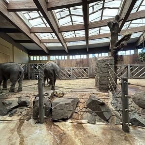 Asian Elephant House