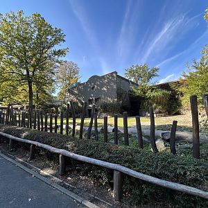 Nile Hippo Exhibit - Tanganyika House