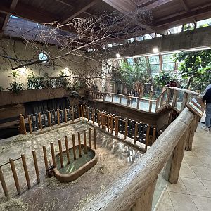 Indoor Nile Hippo Exhibit - Tanganyika House