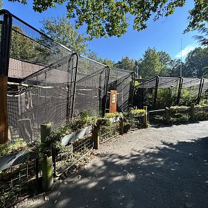 Parrot & Tamarin Aviaries