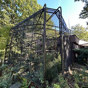 Scarlet Macaw Aviaries