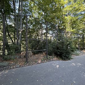 Eurasian Eagle Owl Aviary