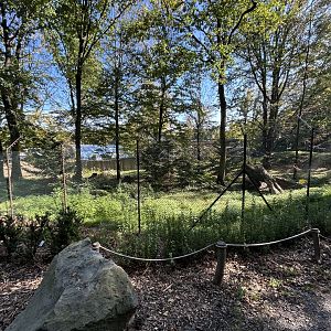 Lion-tailed Macaque Exhibit - Wanderu