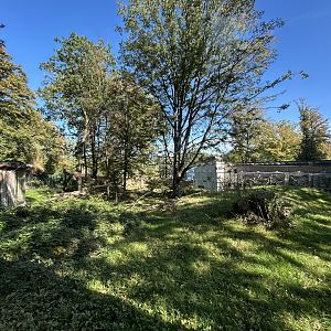 Lion-tailed Macaque Exhibit - Wanderu